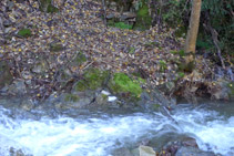 Fuente de Canemassos al otro lado del río del Cantó.