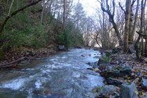 Río del Cantó desde la fuente de Canemassos.