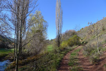 Pista de tierra que sube hacia Llagunes.