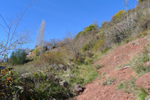 Subimos directamente hacia las primeras casas de Llagunes (al fondo).