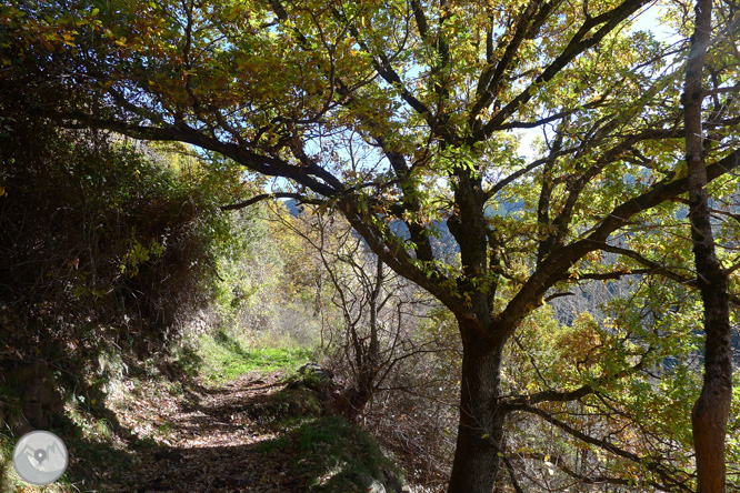 Ruta de las fuentes de Llagunes 1 