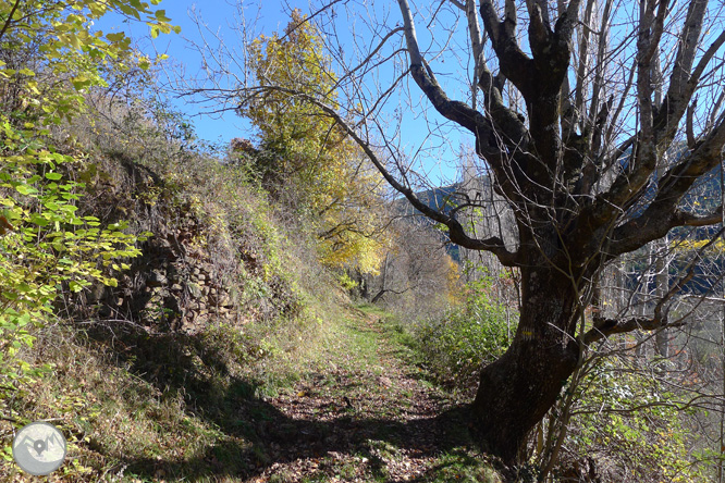 Ruta de las fuentes de Llagunes 1 