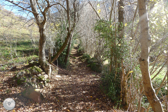 Ruta de las fuentes de Llagunes 1 