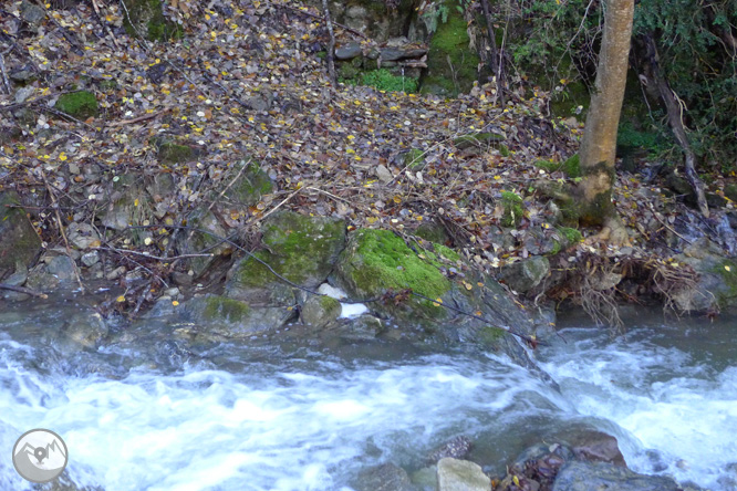 Ruta de las fuentes de Llagunes 1 