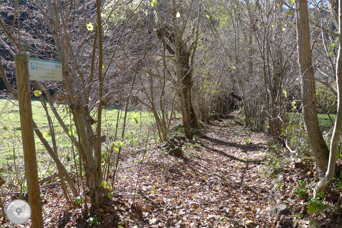 Ruta de las fuentes de Llagunes 1 