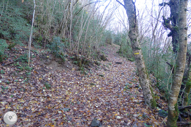 Ruta de las fuentes de Llagunes 1 