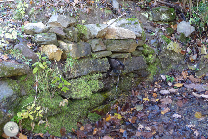 Ruta de las fuentes de Llagunes 1 