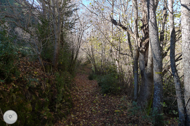 Ruta de las fuentes de Llagunes 1 