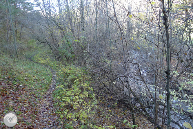 Ruta de las fuentes de Llagunes 1 