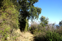 Flanqueando el Serrat de la Palomera.