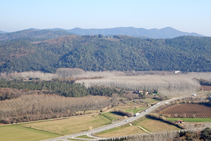 Plantaciones de chopos plan del Pasteral.