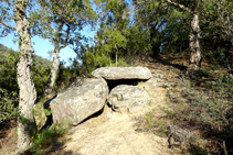 Dolmen de Colldegria.