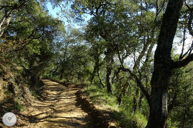 Ruta de las canteras de la Cellera de Ter 1 