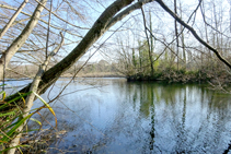 Orilla del pantano del Pasteral.