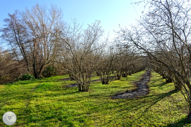 Ruta Voramera y Vía Verde en Amer 1 