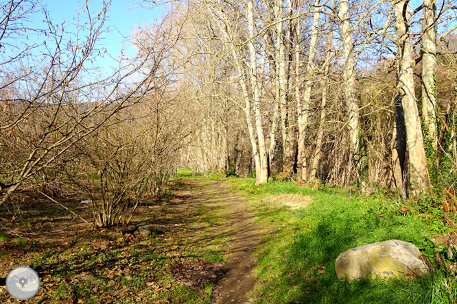 Ruta Voramera y Vía Verde en Amer 1 