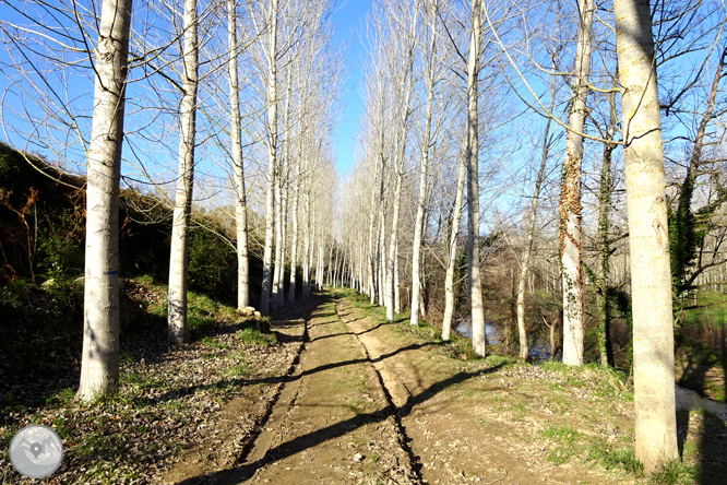 Ruta Voramera y Vía Verde en Amer 1 