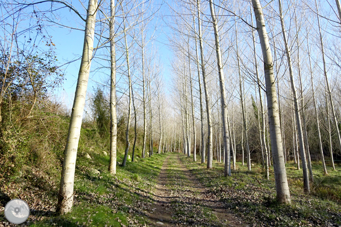 Ruta Voramera y Vía Verde en Amer 1 