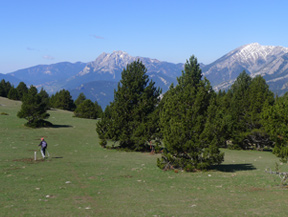 Ruta del Trencapinyes y mirador de Els Orris