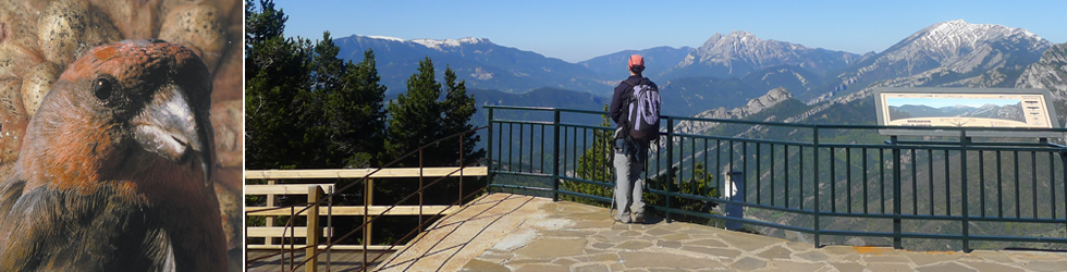 Ruta del Trencapinyes y mirador de Els Orris