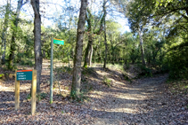 Camino a los pantanos d´en Llobet.