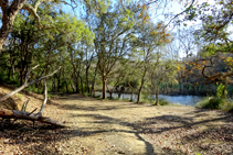 En la ribera del pantano de Llobet.