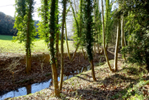 El arroyo d´en Llobet.