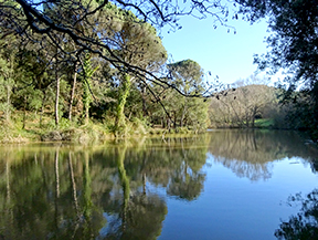 Ruta de los pantanos de Llobet en Vidreres