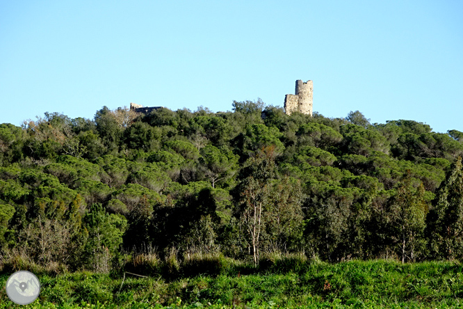 Ruta de los pantanos de Llobet en Vidreres 1 