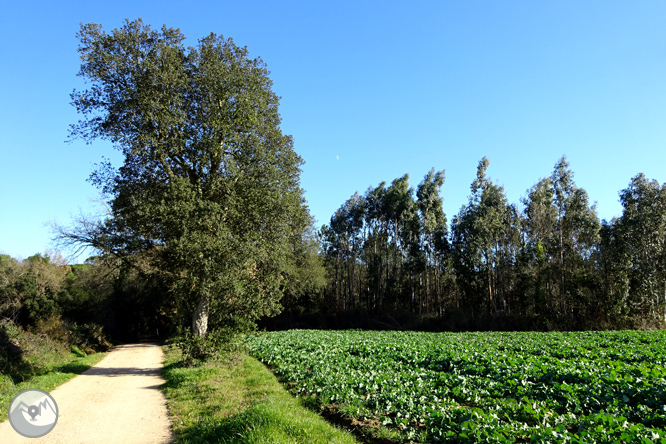 Ruta de los pantanos de Llobet en Vidreres 1 