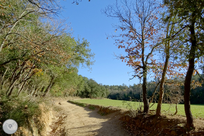 Ruta de los pantanos de Llobet en Vidreres 1 