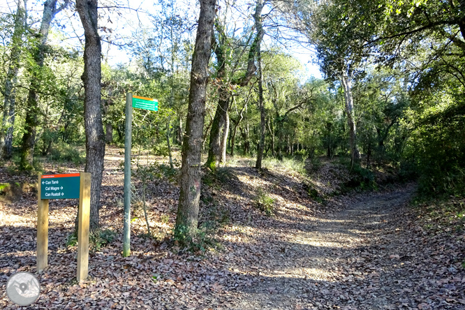 Ruta de los pantanos de Llobet en Vidreres 1 