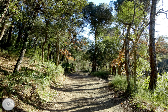 Ruta de los pantanos de Llobet en Vidreres 1 