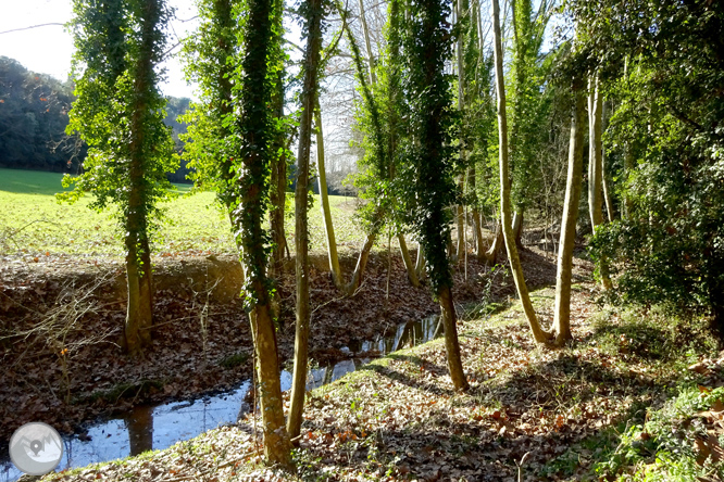 Ruta de los pantanos de Llobet en Vidreres 1 