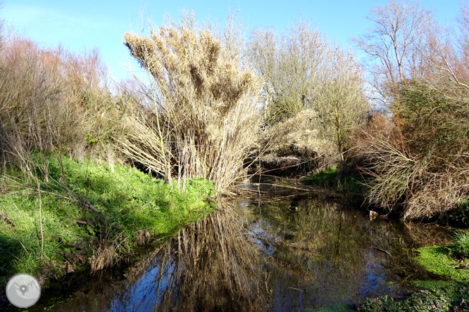 Ruta de los pantanos de Llobet en Vidreres 1 