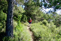 Siguiendo el GR 241, el sendero de Borredà.