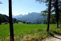 Campos en el collado del Molí.