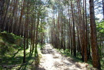 Camino a la masía la Sala.