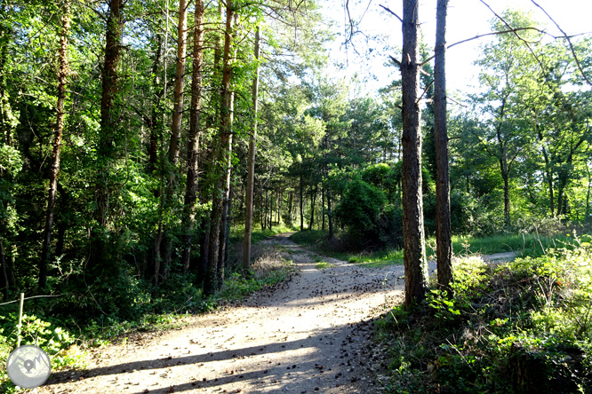 Por los alrededores de Vilada en el Berguedá 1 