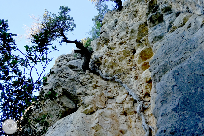 Por los alrededores de Vilada en el Berguedá 1 