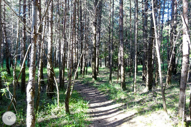 Por los alrededores de Vilada en el Berguedá 1 