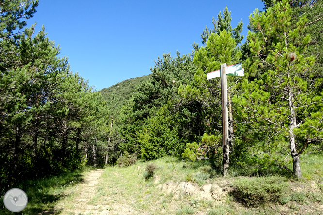 Por los alrededores de Vilada en el Berguedá 1 