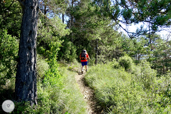 Por los alrededores de Vilada en el Berguedá 1 