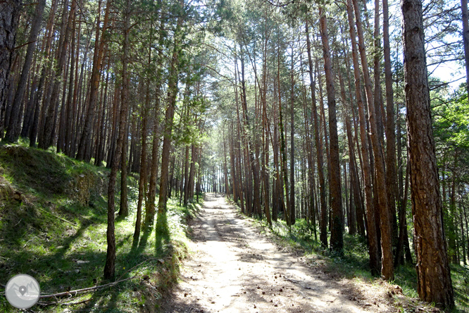 Por los alrededores de Vilada en el Berguedá 1 