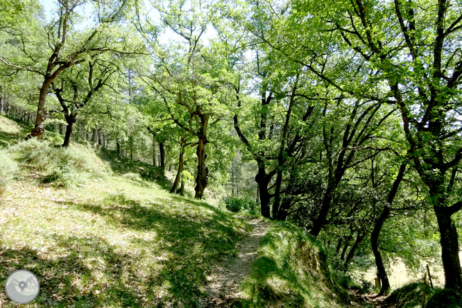 Por los alrededores de Vilada en el Berguedá 1 