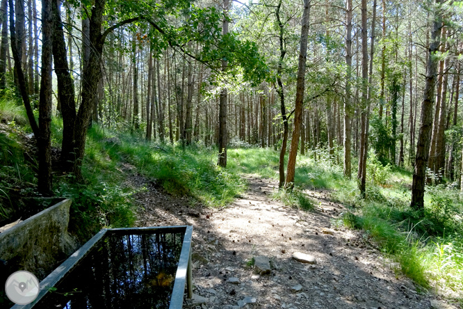 Por los alrededores de Vilada en el Berguedá 1 