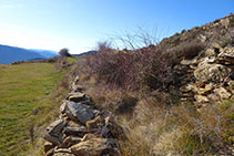 Tramo de camino viejo abandonado.