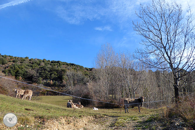 La ermita de Sant Romà de Estac 1 