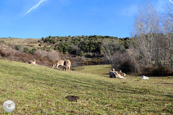 La ermita de Sant Romà de Estac 1 