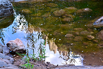 Reflejo de las Agulles en un charco de agua en el fondo del torrente del Afrau.